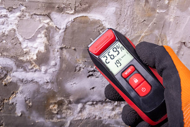 Best Water Damage Restoration  in Rockvale, TN